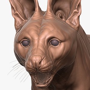 3D Fully Detailed Serval Cat Zbrush Sculpt