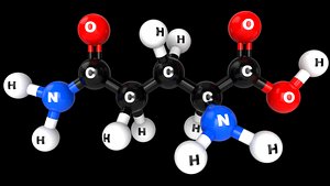 3D model Glutamine