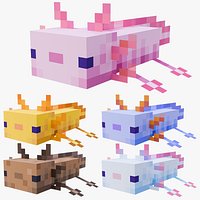Minecraft Axolotl Rigged 3D Model 5 Skins Included Game Ready 4K PBR