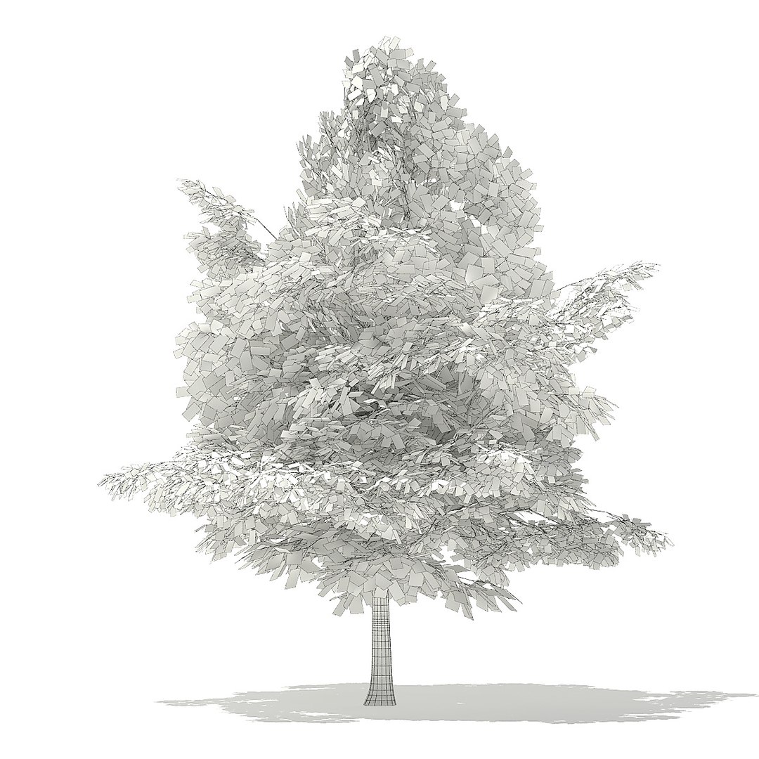 trees deciduous american model https://p.turbosquid.com/ts-thumb/IJ/mVfVp6/5fRwOI3s/cgaxis_models_109_0400grid/jpg/1552595687/1920x1080/fit_q87/09144e6e9b11ed24eddf670f6fc1d3ec147cdaab/cgaxis_models_109_0400grid.jpg