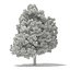 Trees 3D Models Collection Mental Ray