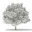 Trees 3D Models Collection Mental Ray