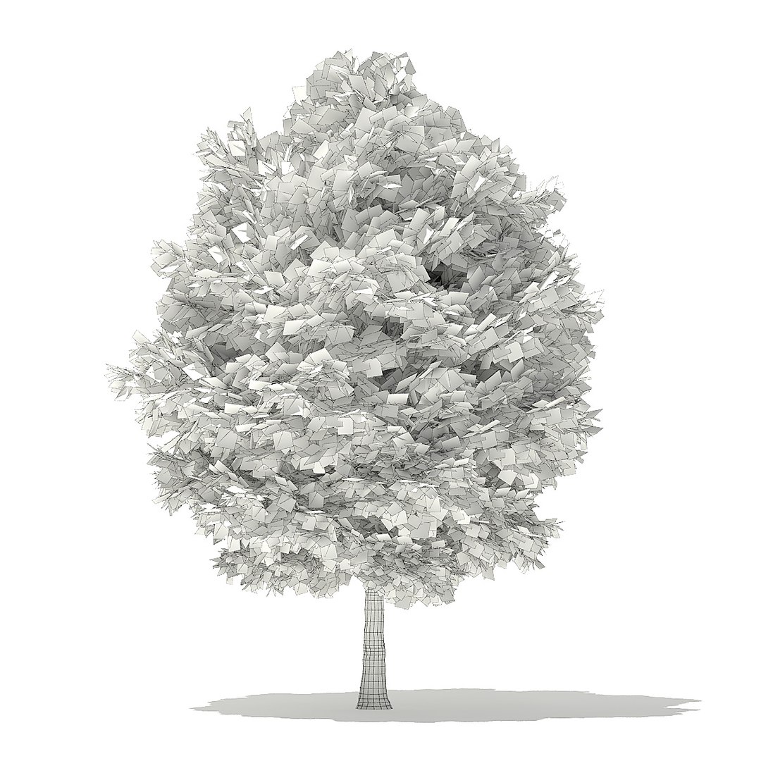 trees deciduous american model https://p.turbosquid.com/ts-thumb/IJ/mVfVp6/I7mzEqpw/cgaxis_models_109_4000grid/jpg/1552595692/1920x1080/fit_q87/016e272c4640cbb60aa98af4669526e50f386f70/cgaxis_models_109_4000grid.jpg