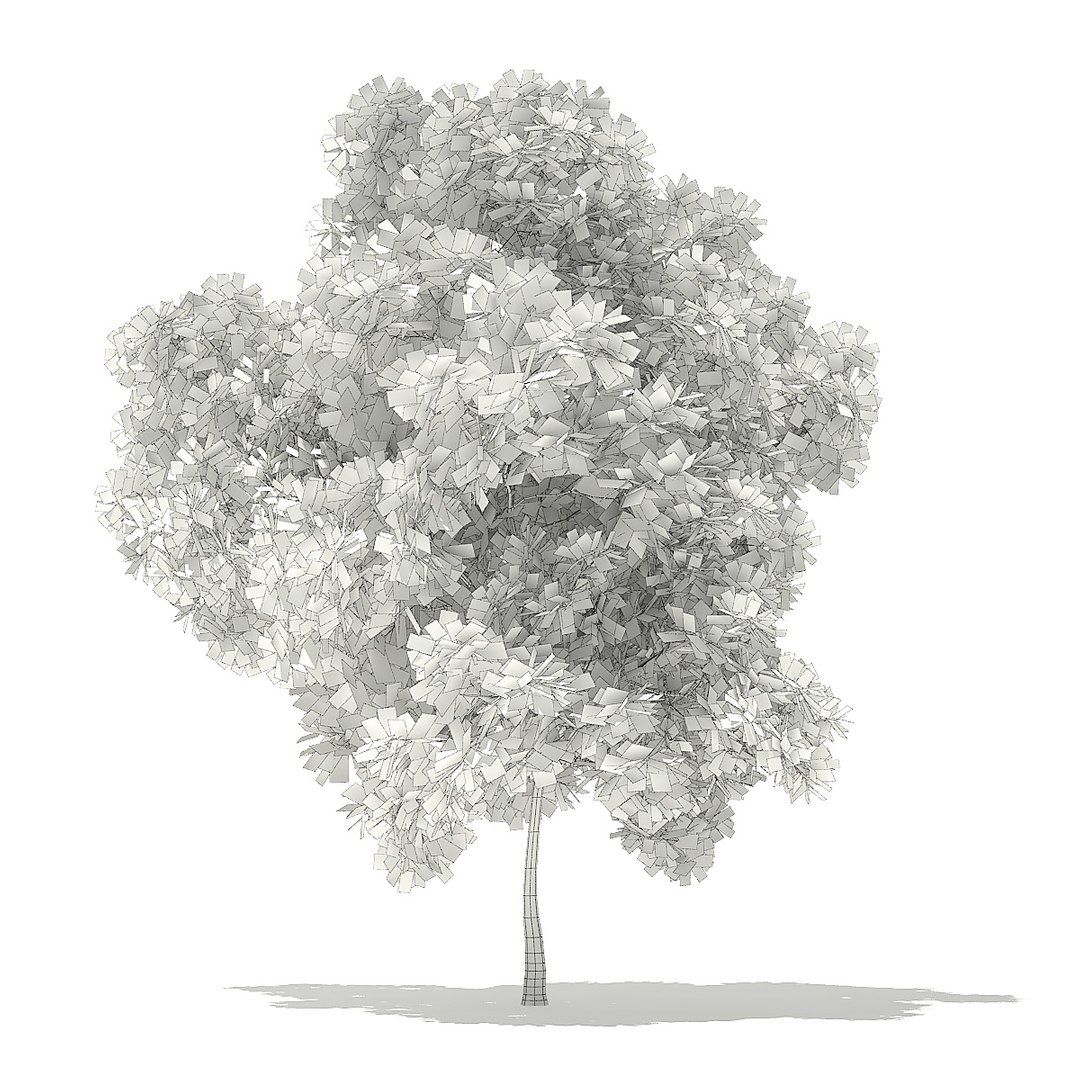 trees deciduous american model https://p.turbosquid.com/ts-thumb/IJ/mVfVp6/NXF6VQ7l/cgaxis_models_109_2500grid/jpg/1552595690/1920x1080/fit_q87/c39d86bdd09e7573b301dfc78c55f3756b9e4bda/cgaxis_models_109_2500grid.jpg
