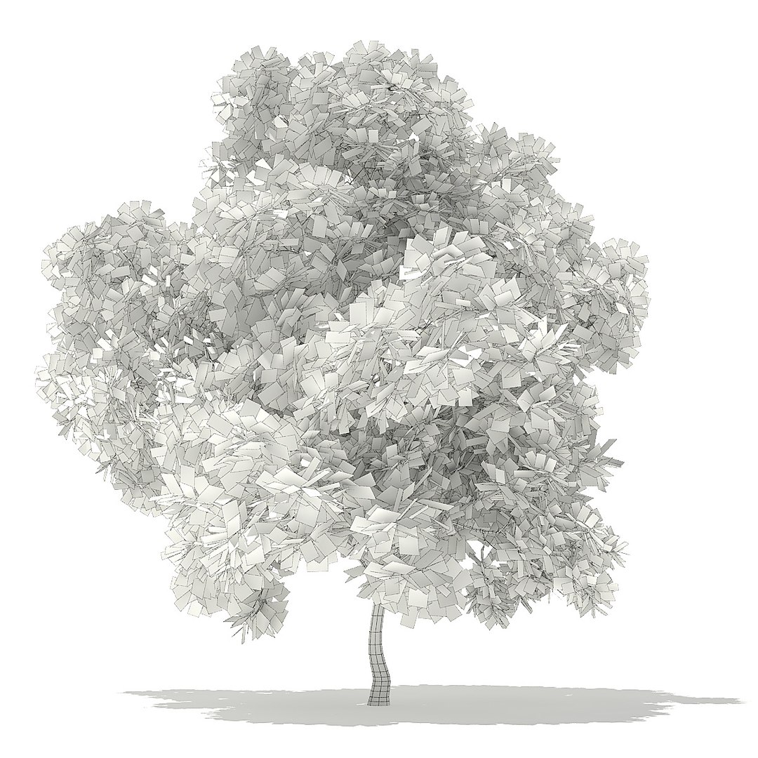 trees deciduous american model https://p.turbosquid.com/ts-thumb/IJ/mVfVp6/UBOGvx4m/cgaxis_models_109_2000grid/jpg/1552595689/1920x1080/fit_q87/35e39db48a6a765ca3e0d4e55cb64f58959ffae3/cgaxis_models_109_2000grid.jpg