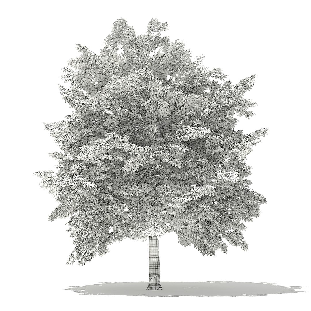 trees deciduous american model https://p.turbosquid.com/ts-thumb/IJ/mVfVp6/chGX6Y0s/cgaxis_models_109_2700grid/jpg/1552595690/1920x1080/fit_q87/8cff7faa07fd3bef88ec2abba83934bbac35959c/cgaxis_models_109_2700grid.jpg