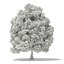 Trees 3D Models Collection Mental Ray