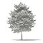 Trees 3D Models Collection Mental Ray