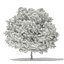 Trees 3D Models Collection Mental Ray
