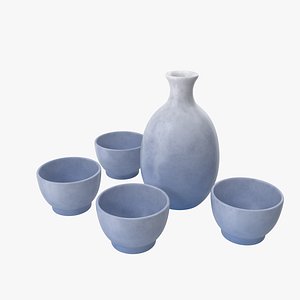 3D Sake Set