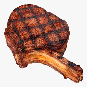 3D model grilled rump steak