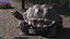 Giant Black Tortoise Walk Pose 3D