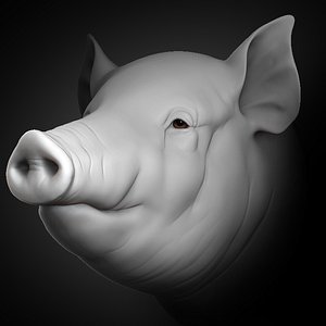 pig head animal 2020 3D model