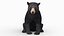 リグとアニメーションを備えたクマの家族 3D バンドル - クロクマとナマケグマ