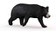 リグとアニメーションを備えたクマの家族 3D バンドル - クロクマとナマケグマ
