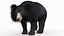 リグとアニメーションを備えたクマの家族 3D バンドル - クロクマとナマケグマ