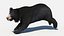 リグとアニメーションを備えたクマの家族 3D バンドル - クロクマとナマケグマ