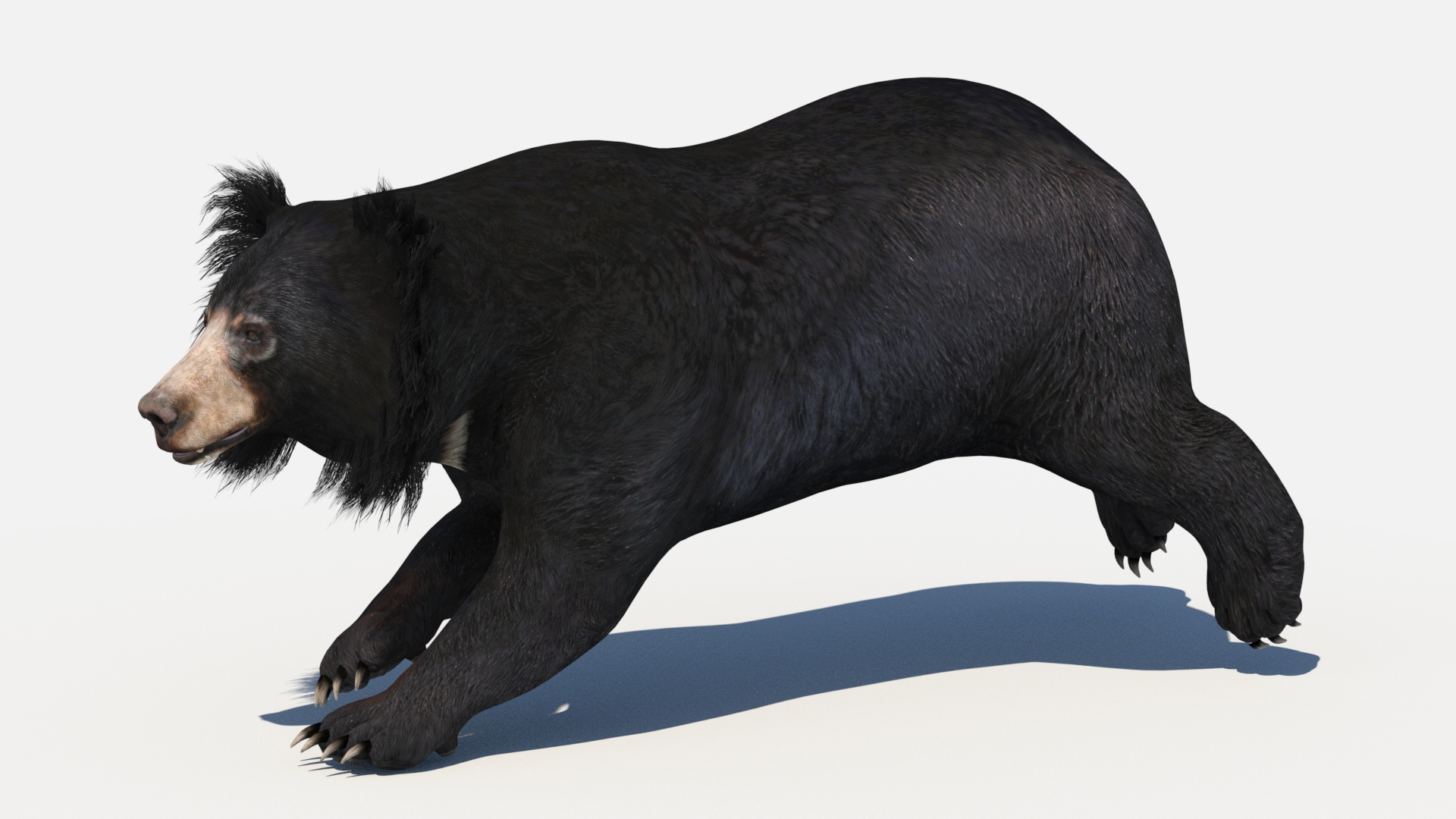 3D model Animated Bear Family 3D Bundle — Black Bear and Sloth Bear https://p.turbosquid.com/ts-thumb/IK/CXrRGt/PZ/slothbear3dmodelruncycle/jpg/1761583836/1920x1080/turn_fit_q99/82b678de7c64defb03dc7a57de4663b1073a2a68/slothbear3dmodelruncycle-1.jpg