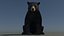 リグとアニメーションを備えたクマの家族 3D バンドル - クロクマとナマケグマ