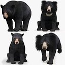 リグとアニメーションを備えたクマの家族 3D バンドル - クロクマとナマケグマ