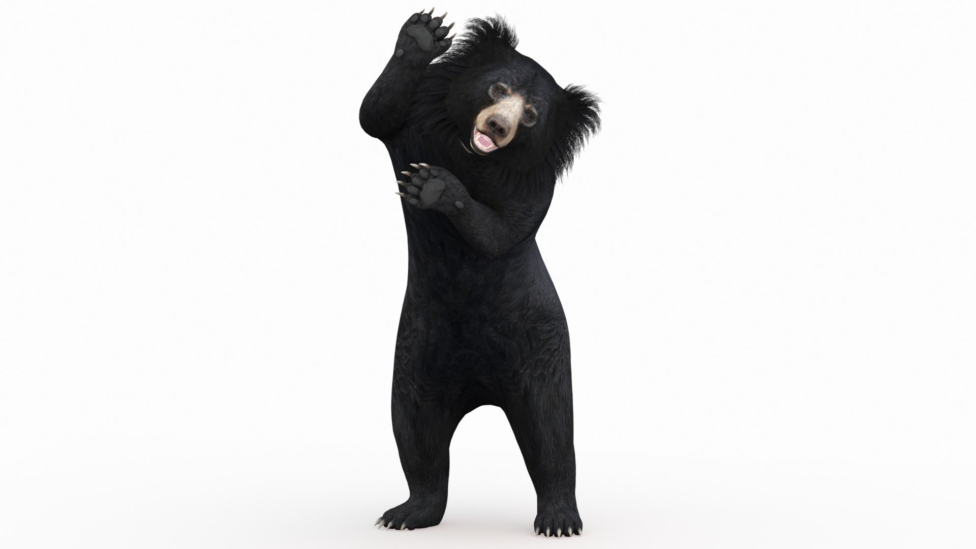 3D model Animated Bear Family 3D Bundle — Black Bear and Sloth Bear https://p.turbosquid.com/ts-thumb/IK/CXrRGt/hw/slothbear3dmodelanimated03/jpg/1760702824/1920x1080/fit_q87/049d052c91a2f6c56d150a36bbb95994f838040f/slothbear3dmodelanimated03.jpg