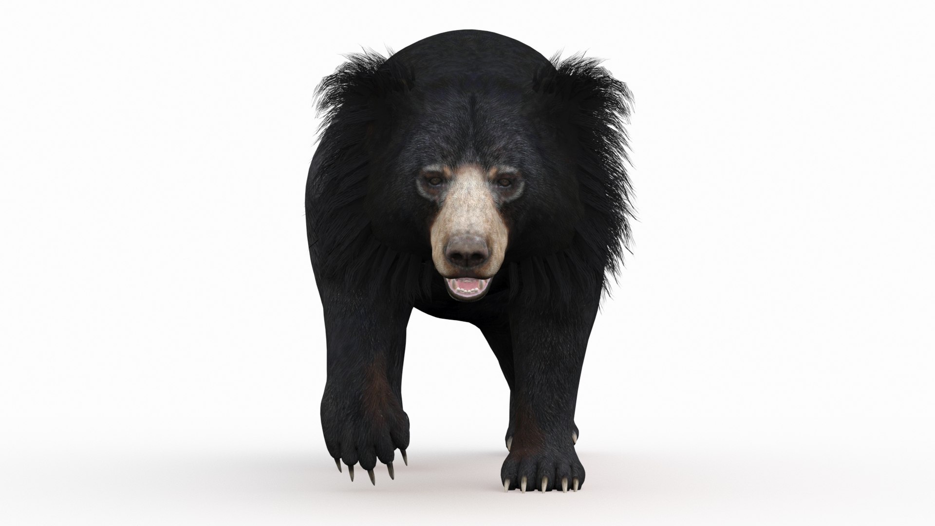 3D model Animated Bear Family 3D Bundle — Black Bear and Sloth Bear https://p.turbosquid.com/ts-thumb/IK/CXrRGt/qP/slothbear3dmodelanimated08/jpg/1760702826/1920x1080/fit_q87/1f86724a77bf4f344e81179a246add622276b93d/slothbear3dmodelanimated08.jpg