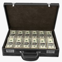 Briefcase with Money