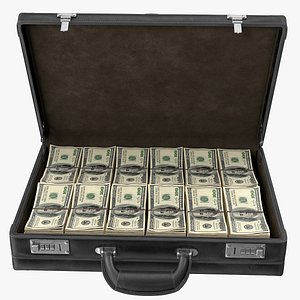 Briefcase with Money
