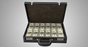 Briefcase with Money