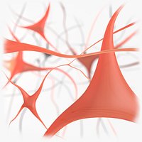 Brain - Process Is Chemicals Binding To Receptors In The Brain