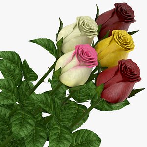 rose closed 3D model