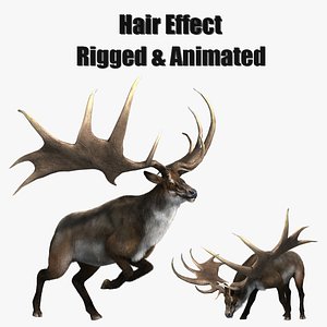 megaloceros elk deer moose model