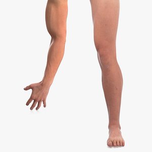 3D Athletic Male Arm and Leg Collection model