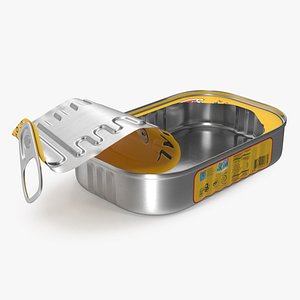 Open Empty Rectangular Sardine Can
