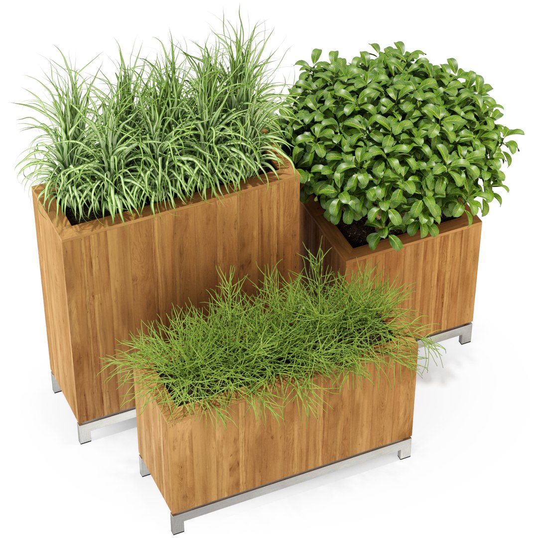 Plants 284 3D model - TurboSquid 1654922