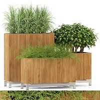 Plants collection 284