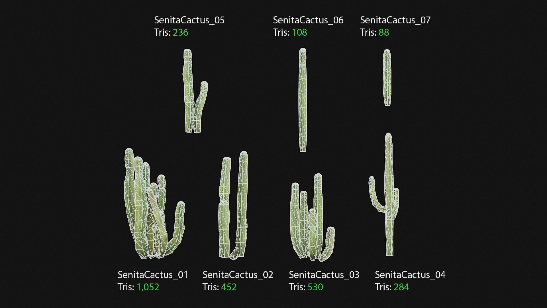 3D Senita Cactus https://p.turbosquid.com/ts-thumb/IL/DCjYie/Gu/senitacactus_polycount/jpg/1737119119/1920x1080/fit_q87/578750b73f93a36daa0c2a4a17e6434eb2e1fdd9/senitacactus_polycount.jpg