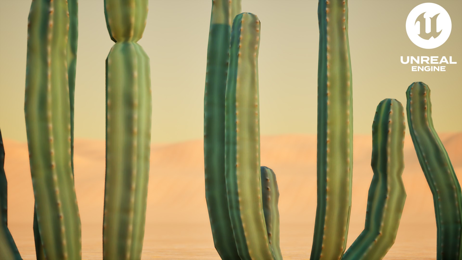 3D Senita Cactus https://p.turbosquid.com/ts-thumb/IL/DCjYie/K8/closeup_unrealengine/jpg/1737119105/1920x1080/fit_q87/99f2314a7a76e661f2f6774d7df38279fa4b9792/closeup_unrealengine.jpg