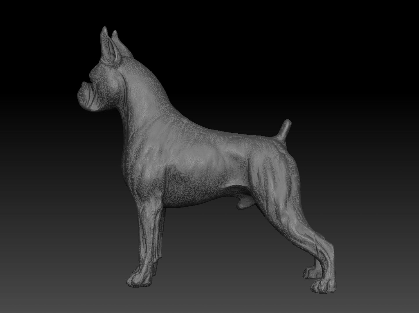Great dane 3D model - TurboSquid 1418006