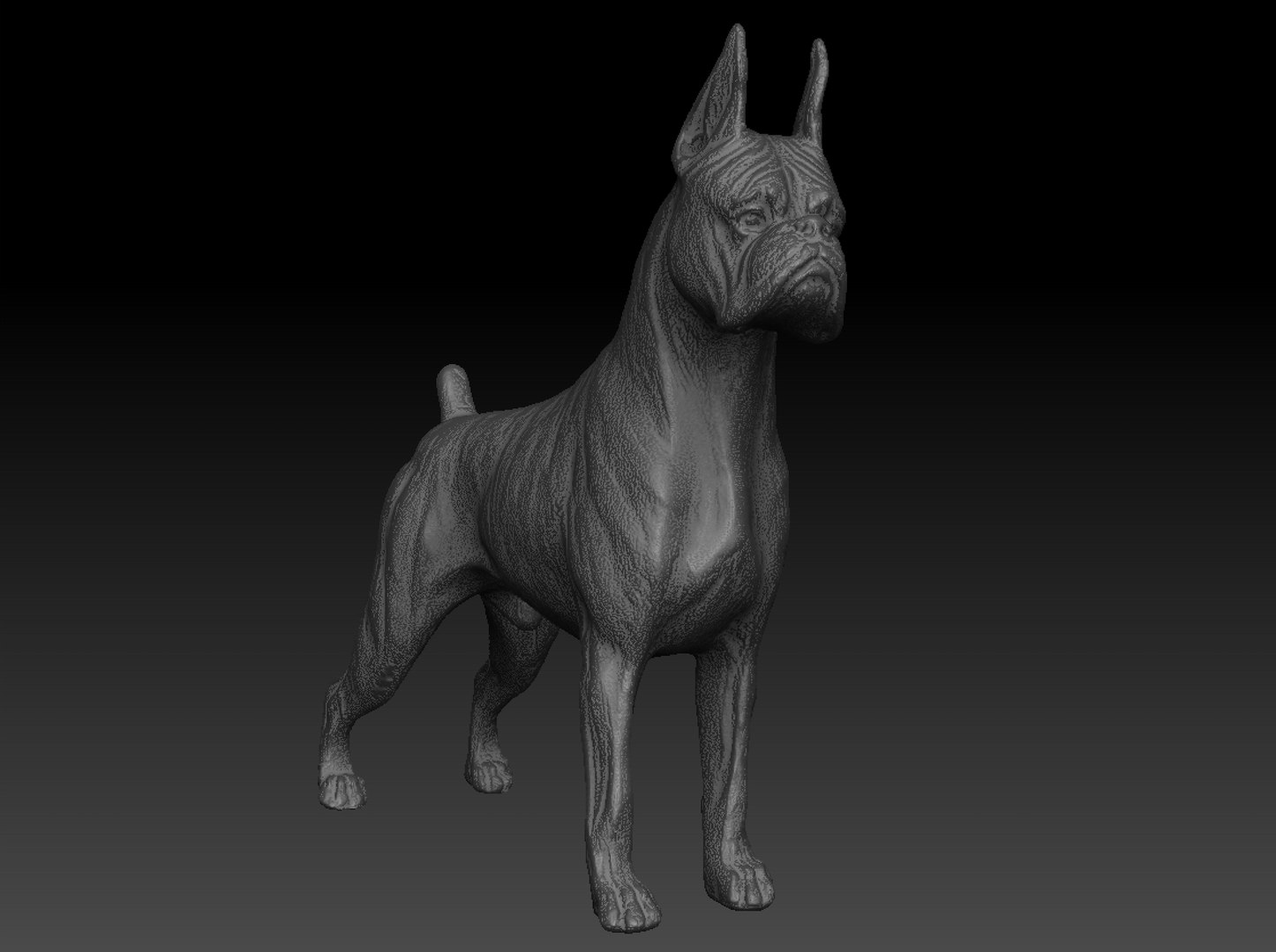 Great dane 3D model - TurboSquid 1418006