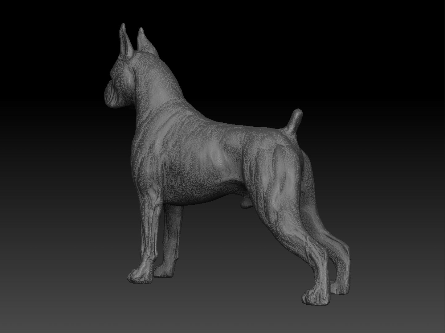 Great dane 3D model - TurboSquid 1418006
