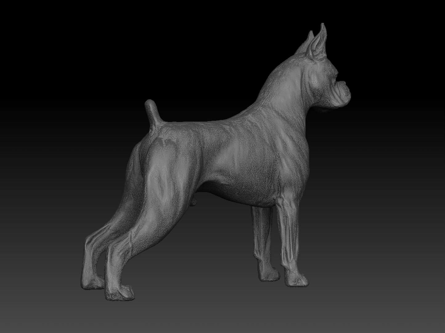 Great dane 3D model - TurboSquid 1418006