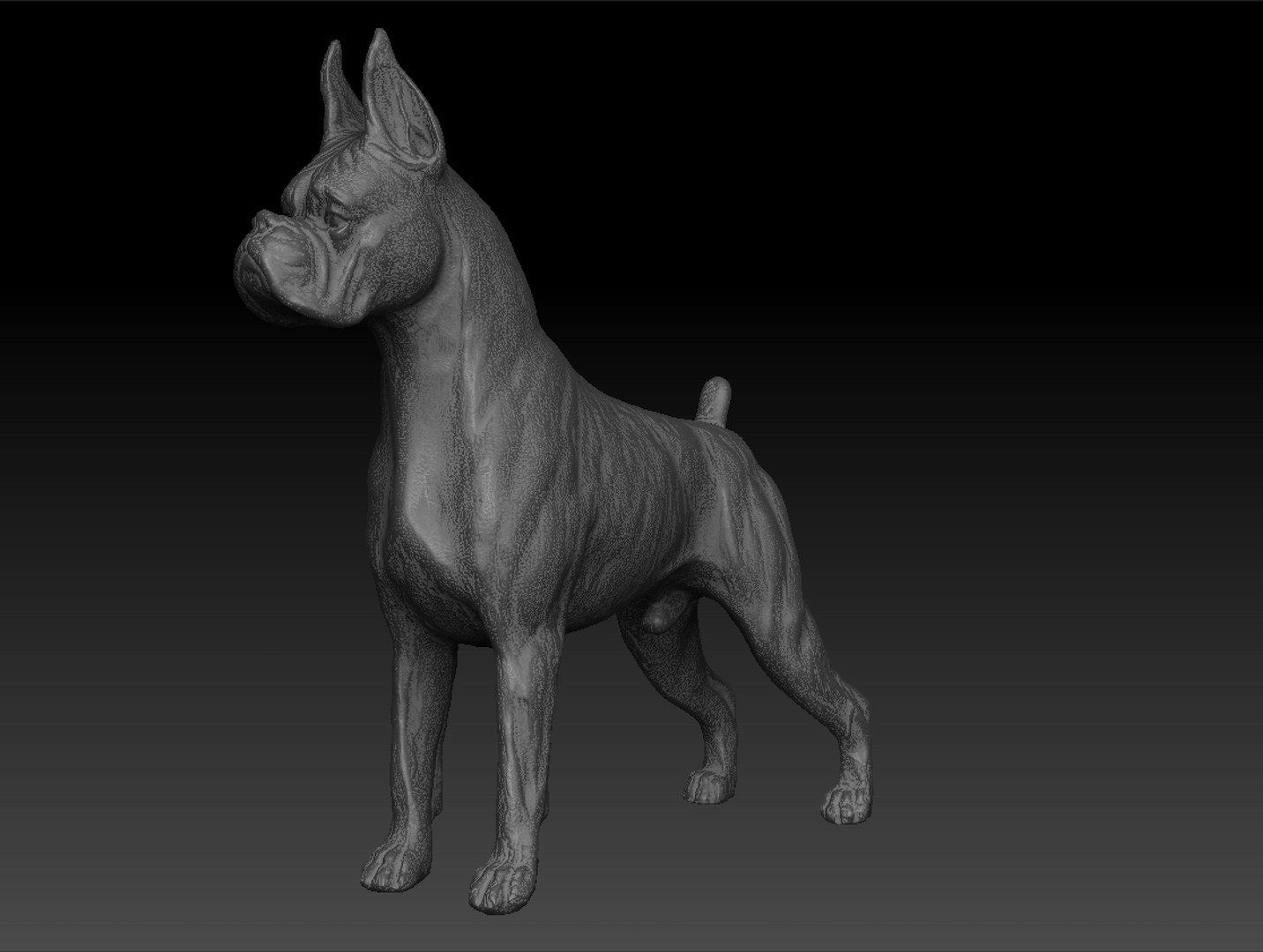 Great dane 3D model - TurboSquid 1418006