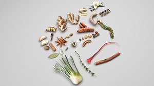Spices Collection 3D