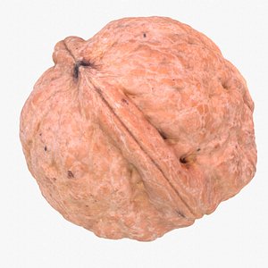Walnut fruit 04 high-poly 3D model 3D model