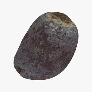 beetroot clean 01 raw 3D model