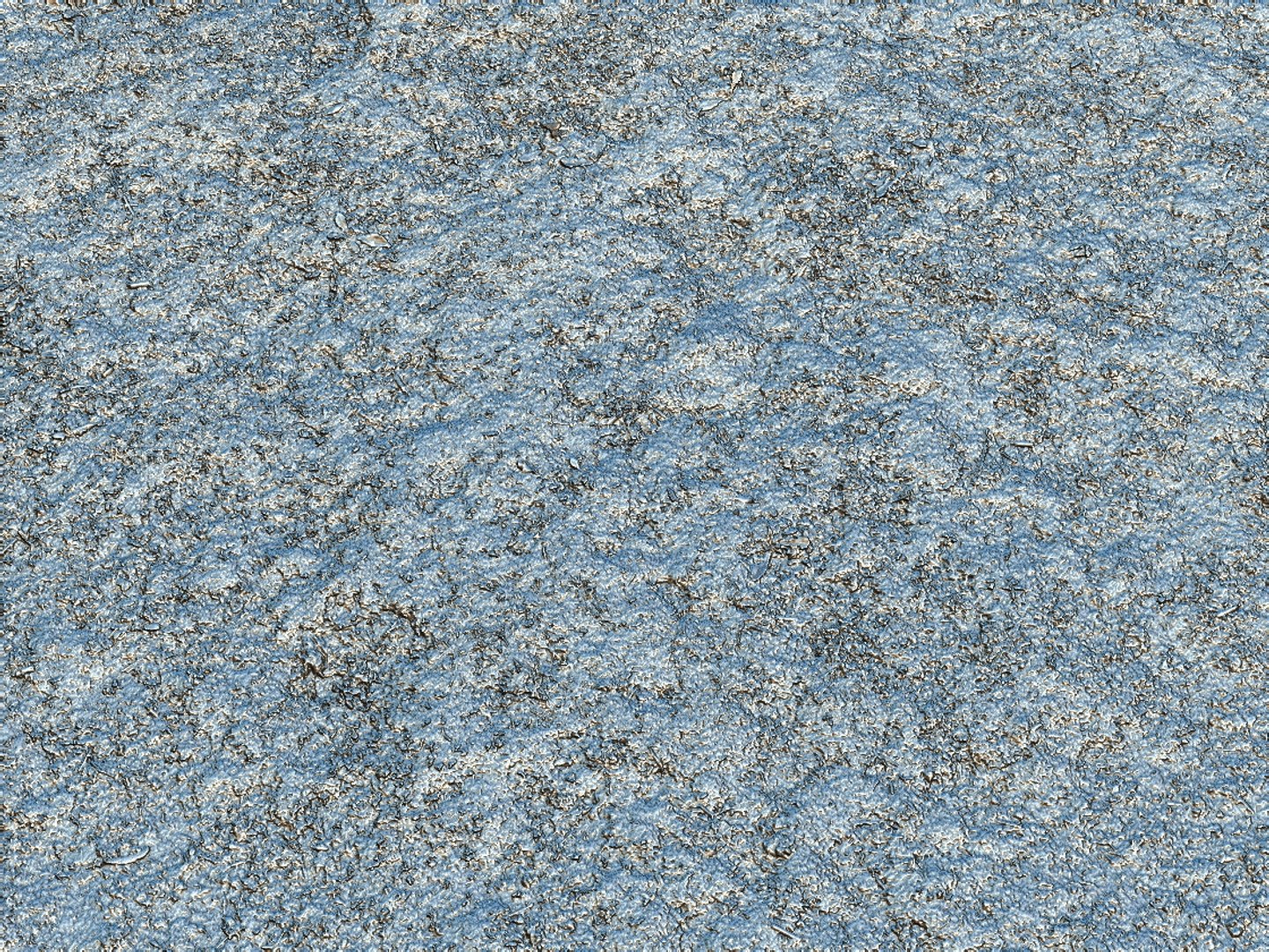 3d Model Forest Ground 16k Hd