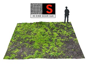 3d model forest ground 16k hd