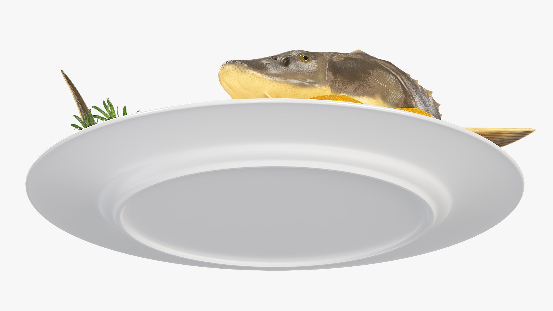 Plated Sturgeon with Herbs and Lemons 3D https://p.turbosquid.com/ts-thumb/IL/nXl0Fw/2P/plated_sturgeon_with_herbs_and_lemons_007/jpg/1755636693/1920x1080/fit_q87/db439c2fa8c3a7020ad803d68c9ae2a9aa2bae95/plated_sturgeon_with_herbs_and_lemons_007.jpg