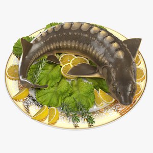 Plated Sturgeon with Herbs and Lemons